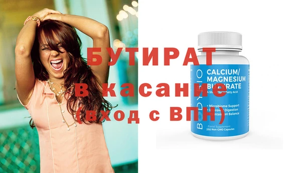 индика Снежногорск