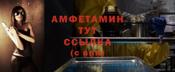 индика Снежногорск
